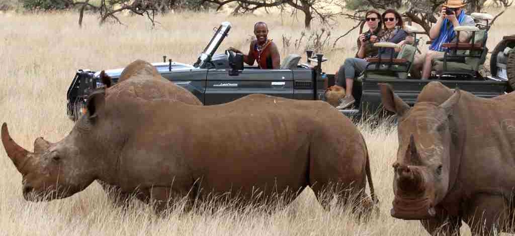 Wildlife Stakeholders Use Technology to Conserve Rhinos Through Unique Identification