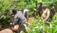 Efforts To Combat Illicit Brew Double Down In Homa Bay