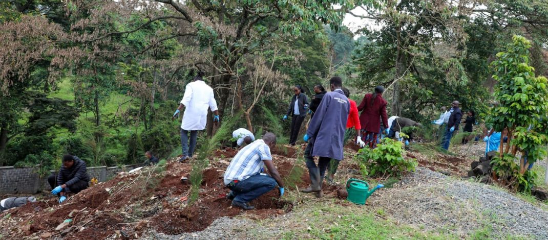 DCI Celebrates International Day of Forests by Planting 2,000 Seedlings