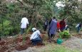 DCI Celebrates International Day of Forests by Planting 2,000 Seedlings