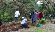 DCI Celebrates International Day of Forests by Planting 2,000 Seedlings