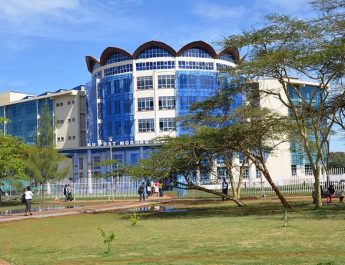 Picnics, Pools & Peace: Inside KU’s Hidden Gems