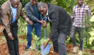 DCI Officers Champion Environmental Conservation During Mazingira Day
